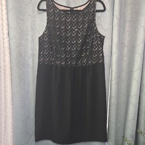 LOFT Black and Cream Lace Mini Dress
